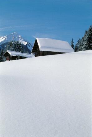 Kleinwalsertal Walserhaus Hans Wiesenhofer (c) Han