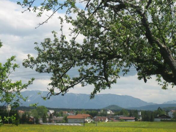 Neudorfer (4)