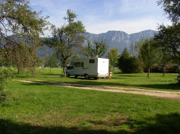 Camping Bruckbacher.JPG