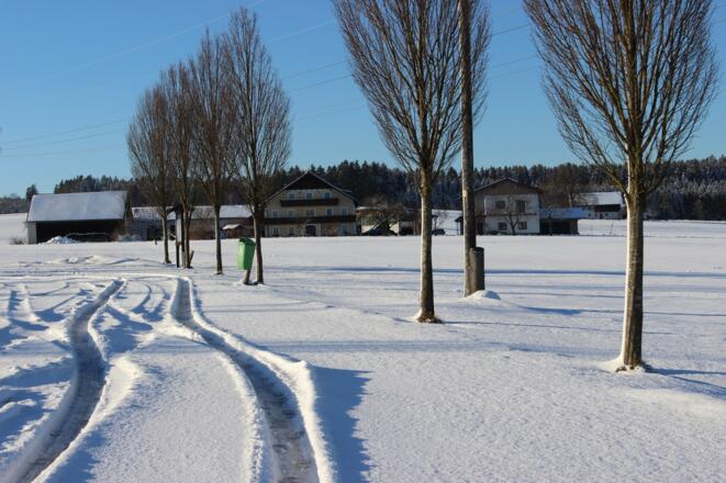 Neudorfer-Winter (7)