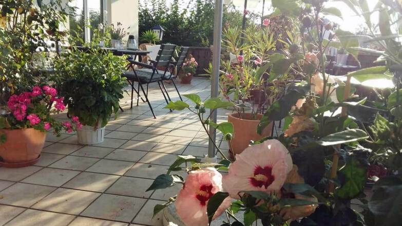 Pension Ebner - Terrasse mit Blumen