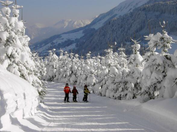 Skiurlaub