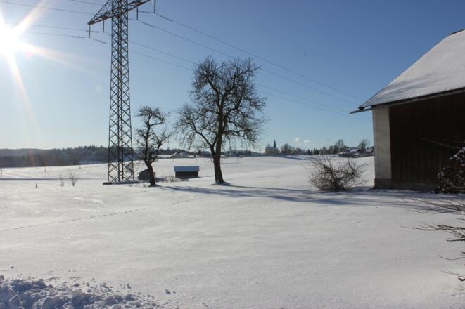Neudorfer-Winter (3)