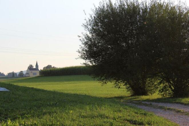 Neudorfer (1)