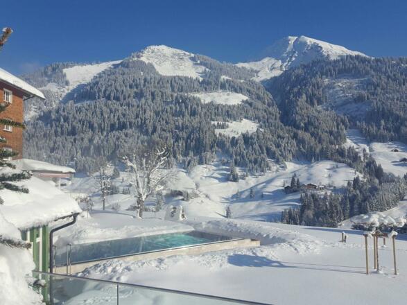 Infinity Pool Winter
