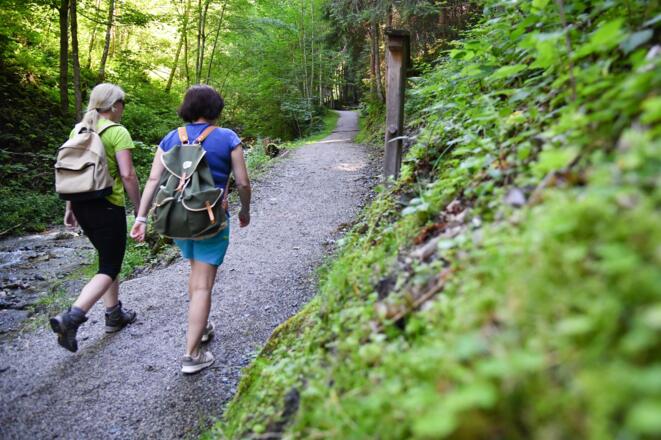 Wanderweg Mühlbachweg Alpbach