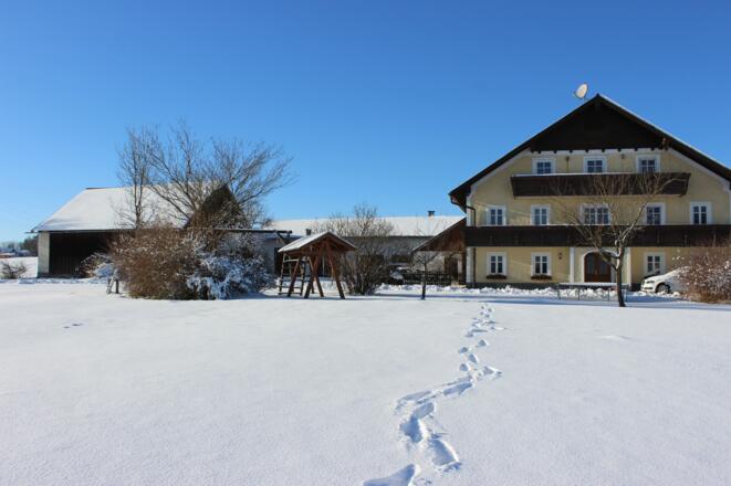 Neudorfer-Winter (4)