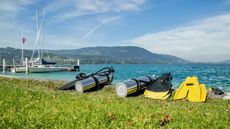 Hotel Foettinger Steinbach am Attersee