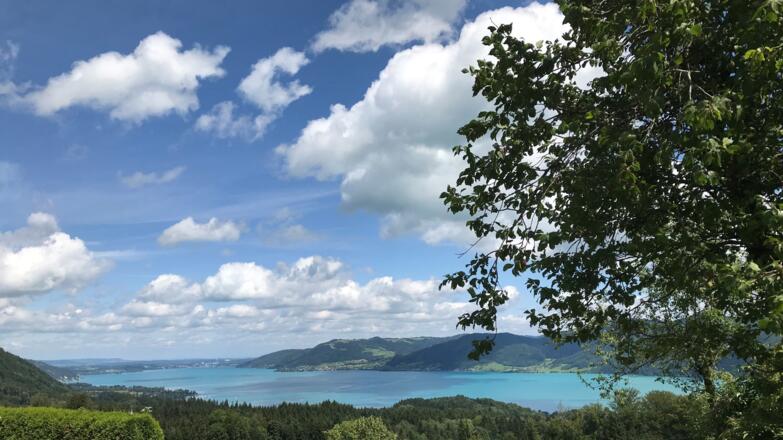 2021-08-17-Neuhofer Dofferlmann-Aussicht-CZ