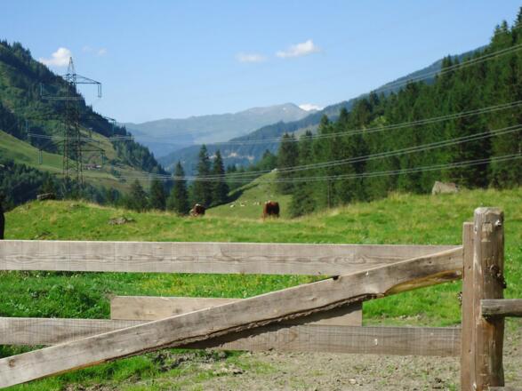 Auf der Alm
