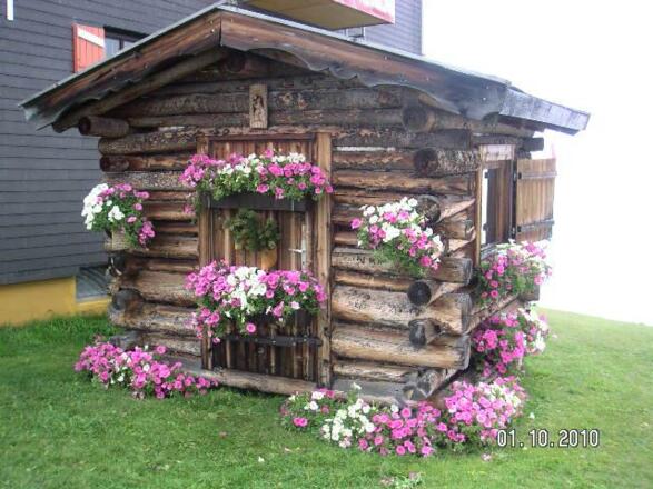 Unser Blumenstadl,viel bestaunt