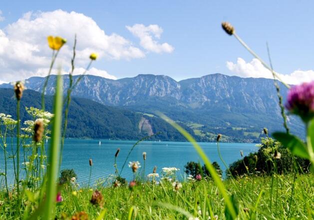 Ferienwohnung Haus Leitner