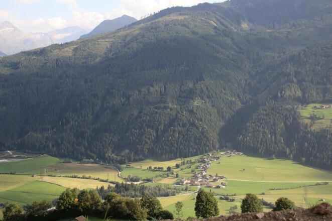 Wilhelmsdorf im Sommer