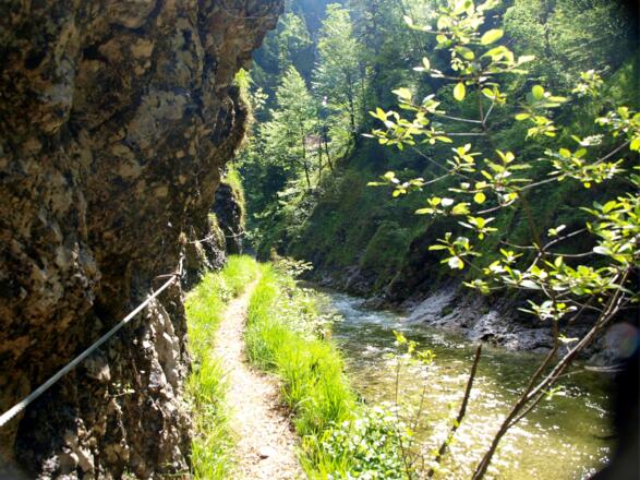 Schmaler Steig nach dem Wasserfall  ~525m