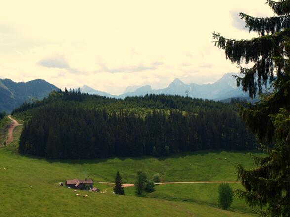Anlaufalm mit Kl. Buchstein vom Hochkogelanstieg