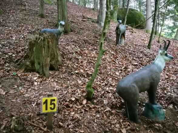 Ziel im Wald