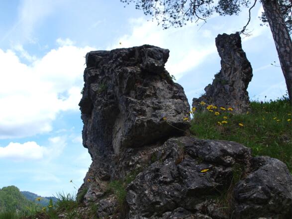 Felsformationen am Hochschlachtsteig um 760m