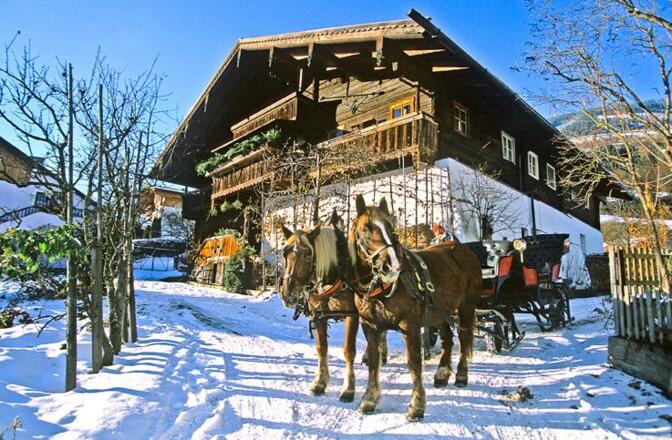 Schwaigerlehen Winter 1