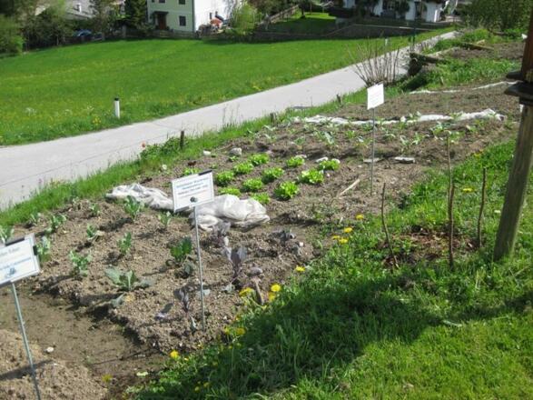 Gemüsegarten mit Beschriftung