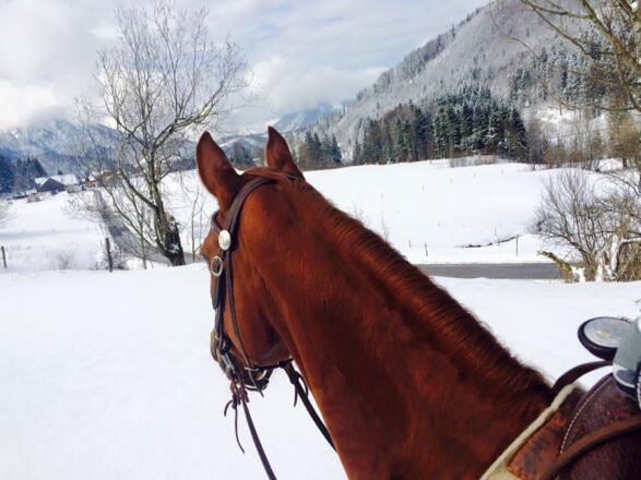 Reiten in der Schneelandschaft