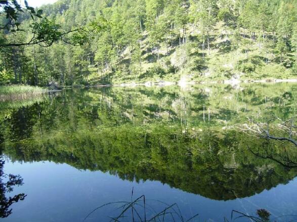 Eibensee