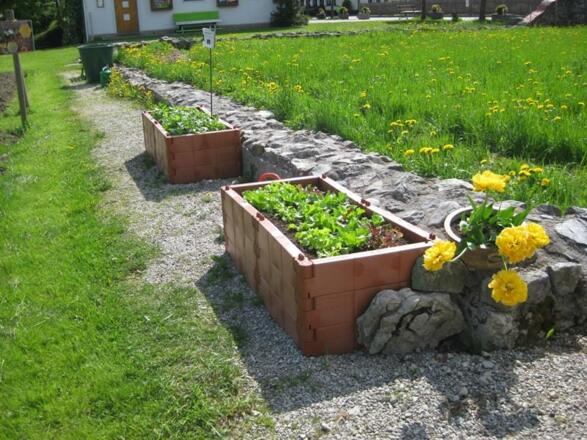 Was wächst den hier?