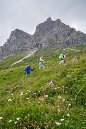 Aufstieg zur Widdersteinhütte mit Blick auf den Widderstein