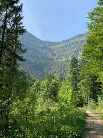 Am Weg zur Eiskapelle