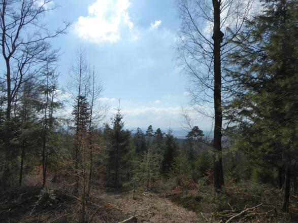 Blick in den Gäuboden