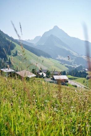 Blick auf Warth, das Lechtal und den Biberkopf