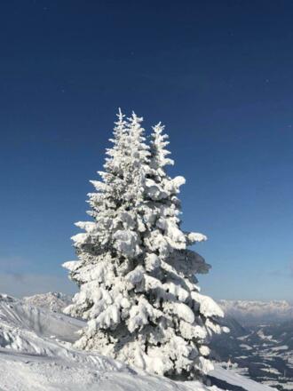 IMG-20180227-WA0046