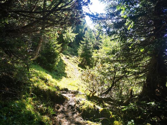 Abstieg von der Kaisersäule