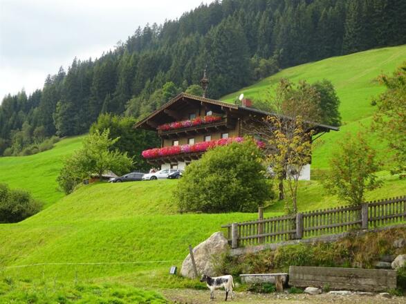 Unser Haus mitten im Grünen
