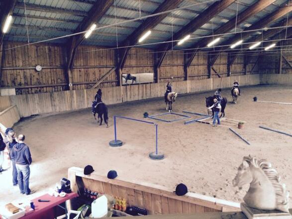 Reitunterricht in der Halle