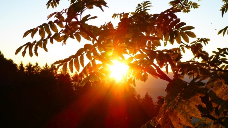 Sonnenaufgang Brüggelekopf in Alberschwende