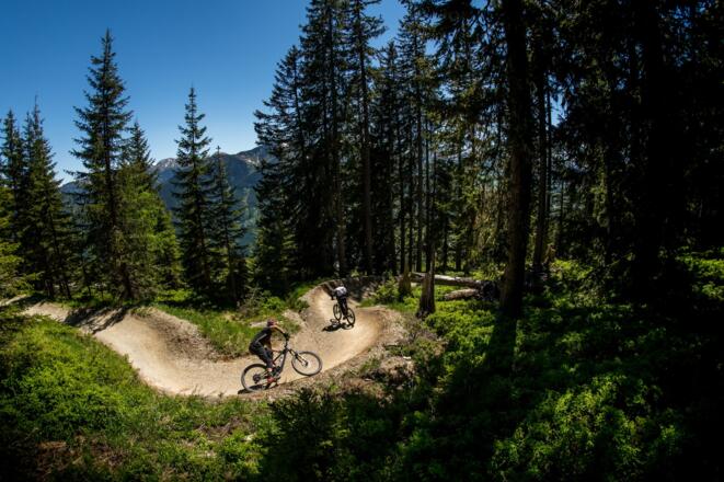 Panorama-Line am Kohlmais