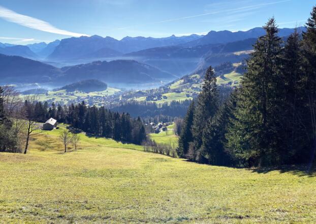 Aussicht auf Schwarzenberg und in den Hinterbregenzerwald