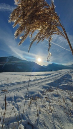 https://d1pgrp37iul3tg.cloudfront.net/objekt_pics/obj_full_72336_013.jpg