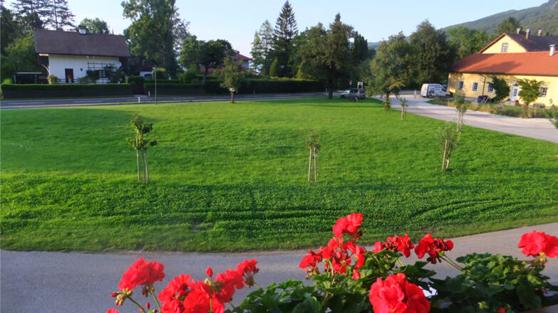 Blick vom Balkon Gaestehaus Riki Oberschmid Steinbach am Attersee