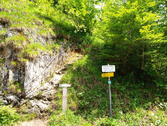 Einstieg Triftsteig 515m
