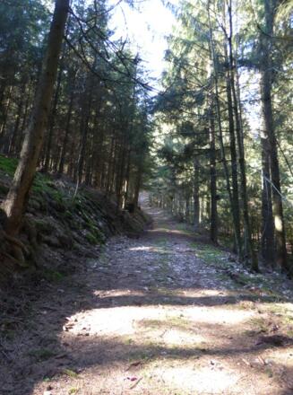letzter Aufstieg kurz vor Tiefenthal