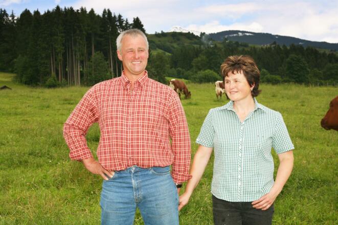 Martin und ich  Kühe