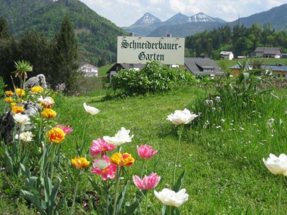 Schneiderbauerngarten in Faistenau