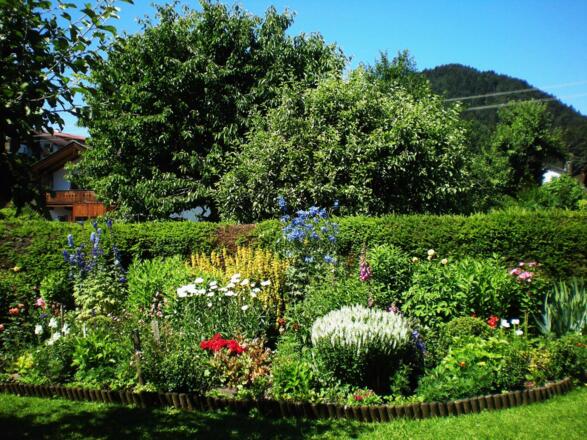 Blumenbeet im Garten