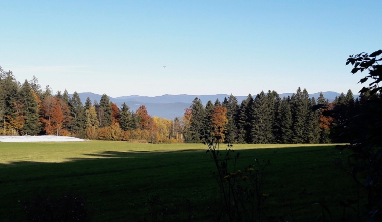 Riedelstein bis Gr. Arber von Friedenstadl