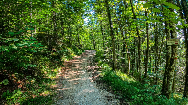 Uphill Niedermuth