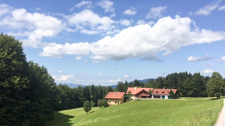 Blick auf den Kreutnerhof