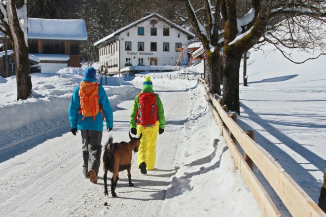 Gasthof Fallmühle im Winter