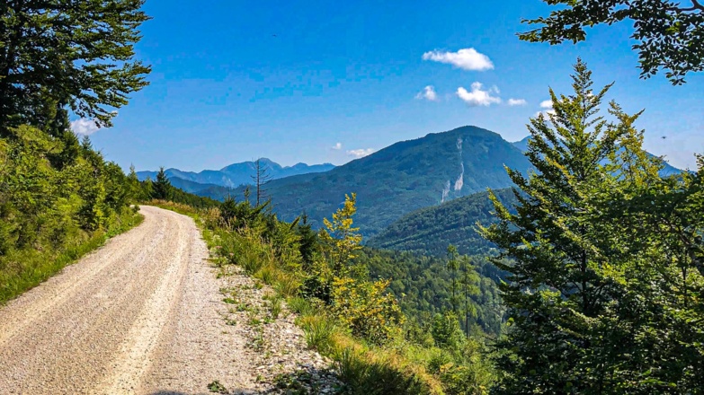 Blick nach dem Viehgatter in Richtung Predigstuhl