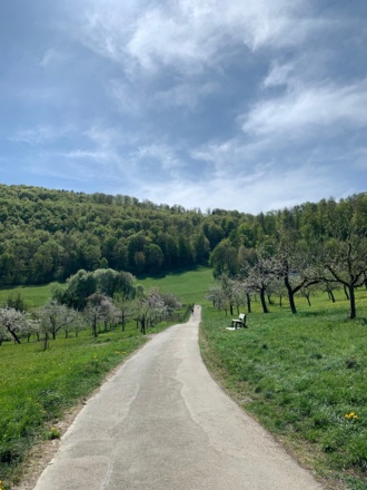 Streuobstwiese im Zochental